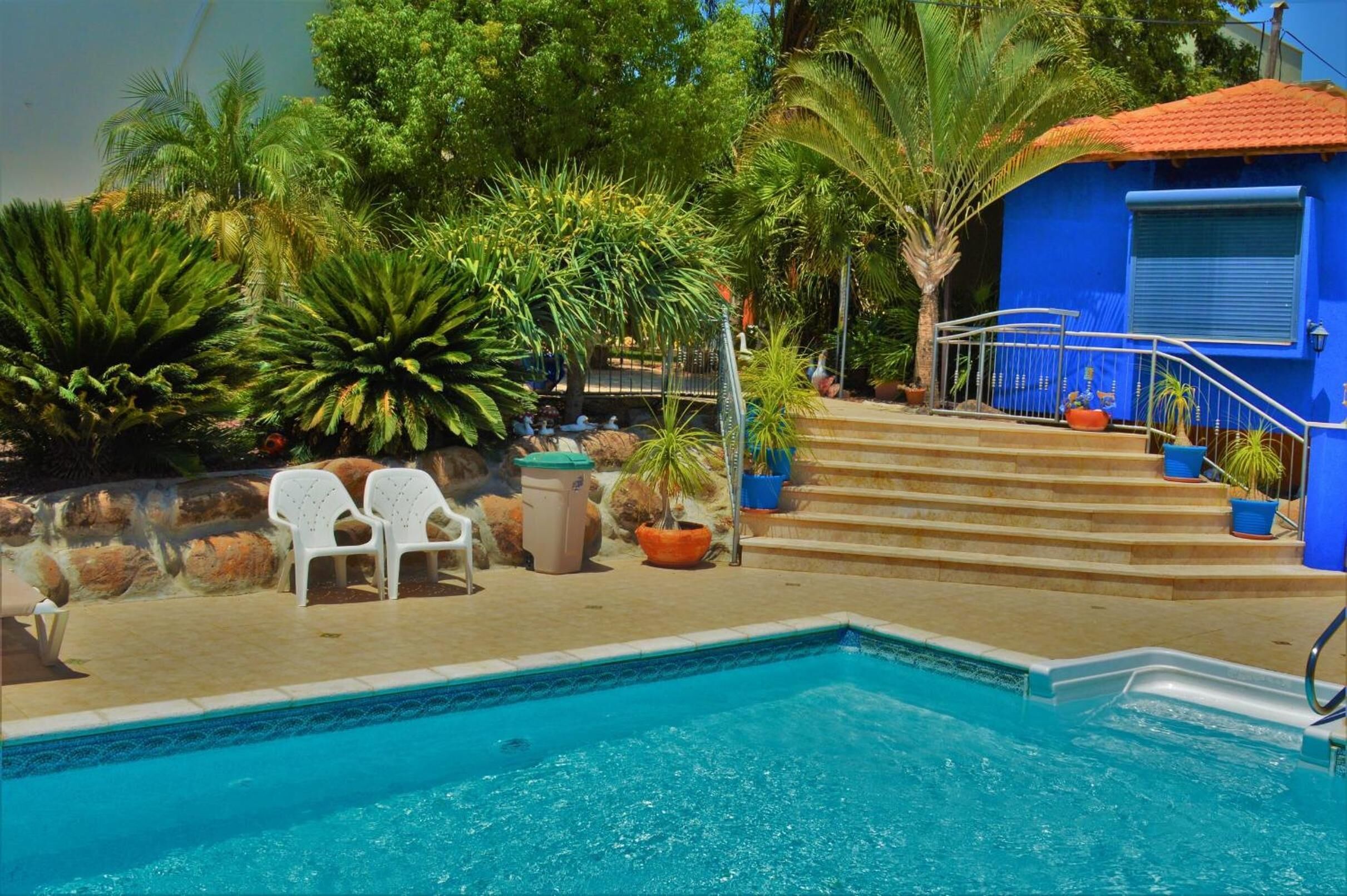 A swimming pool with steps leading up to a blue building, surrounded by various plants and white chairs.