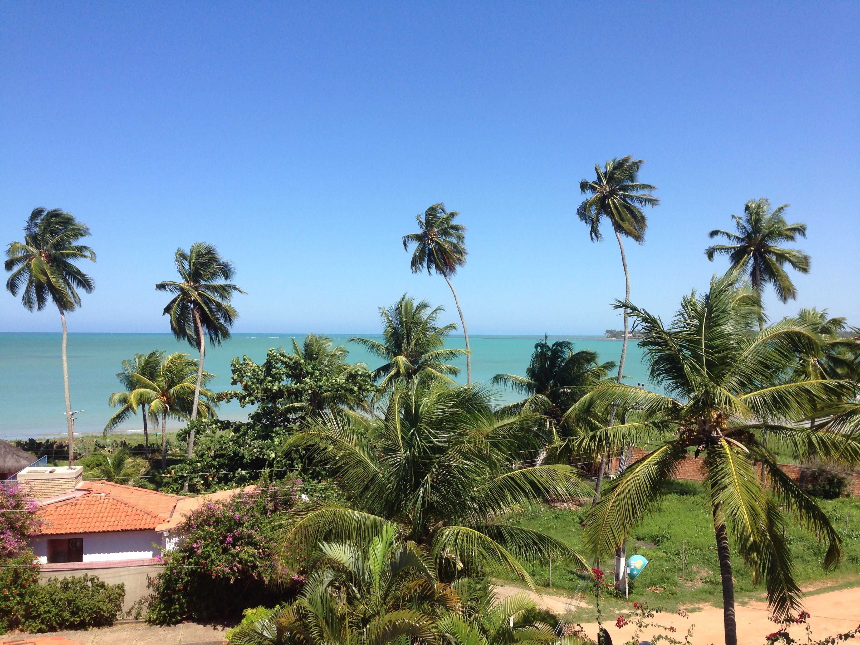 Vista costeira com palmeiras, uma praia e um pequeno edifício com telhado vermelho.