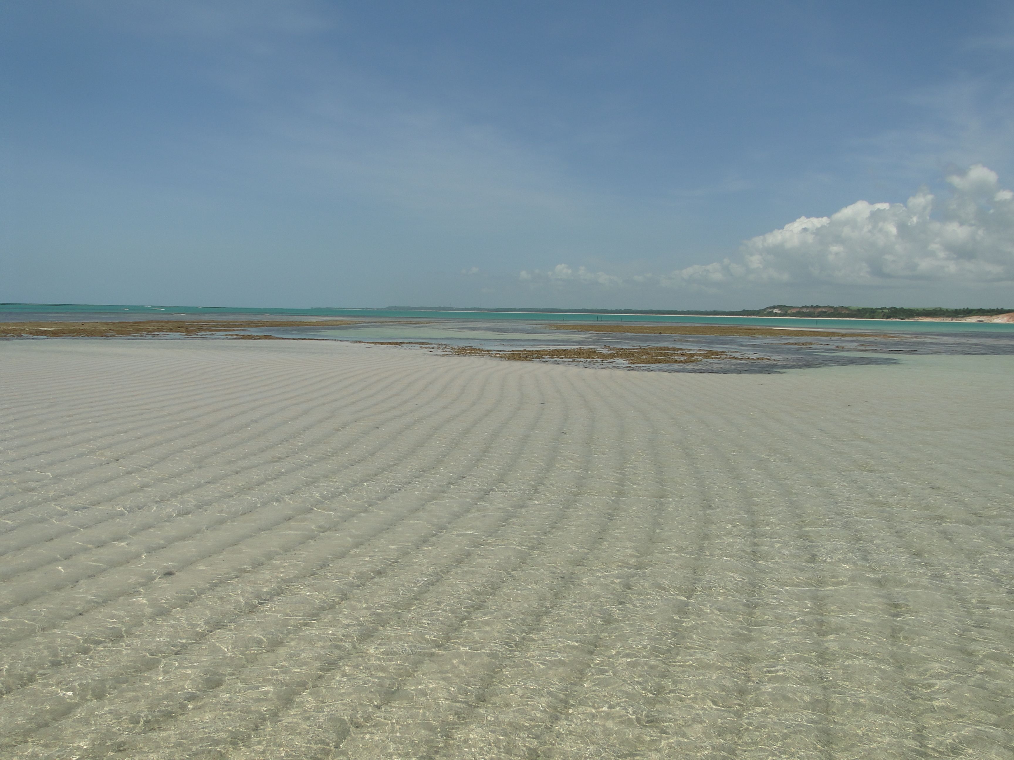 Prática de mergulho livre no local, 5 bares na praia 
