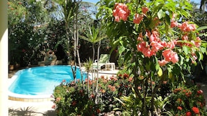 A swimming pool surrounded by lush greenery and flowering plants. - Pousada Arco íris (Barra de Santo Antonio)