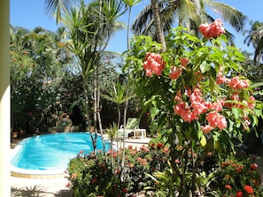 Outdoor pool, open 6:00 AM to 9:00 PM, sun loungers - Pousada Arco íris (Barra de Santo Antonio)