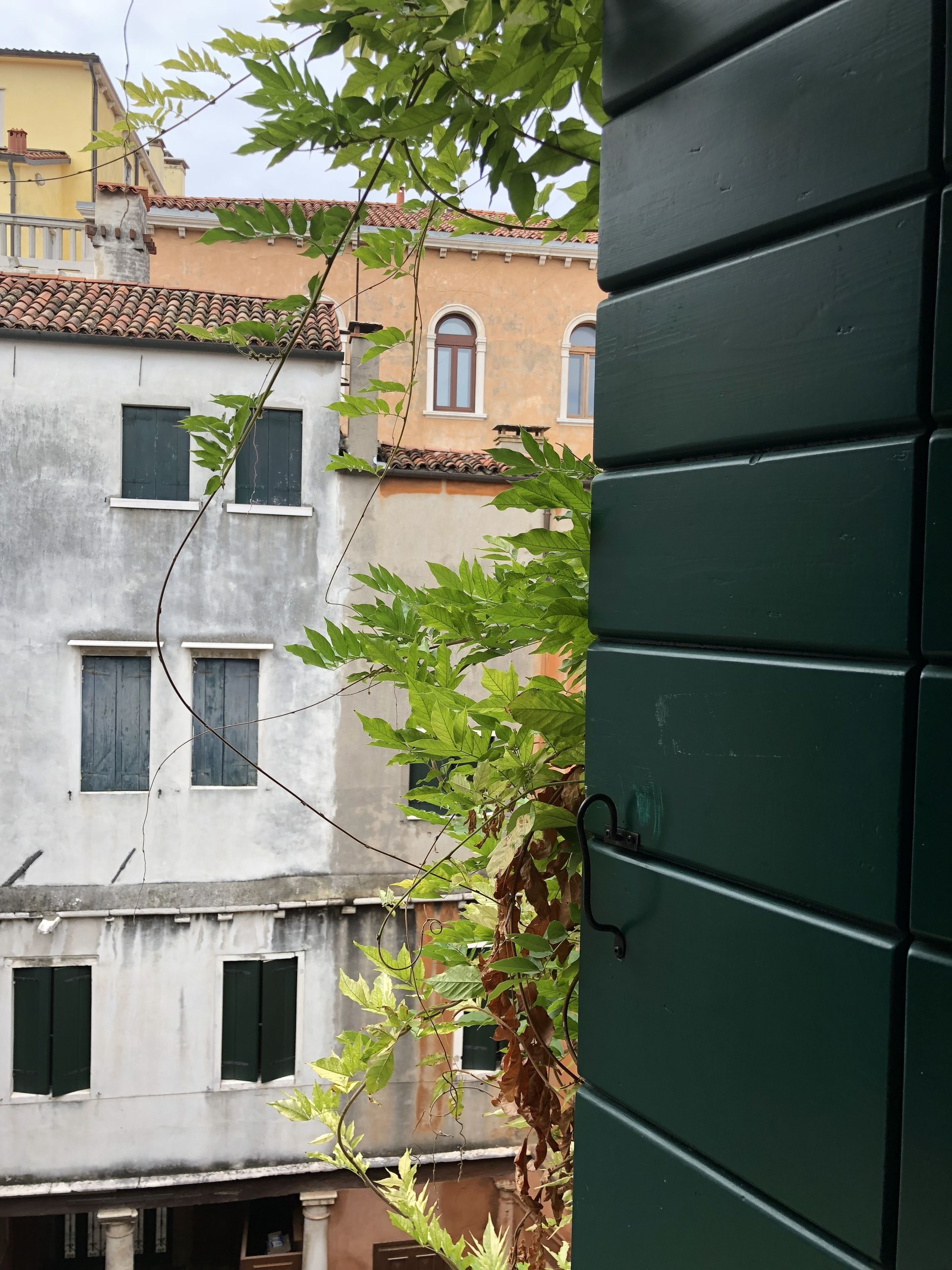 A building with multiple windows and a tree with green leaves in front.