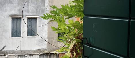 A building with multiple windows and a tree with green leaves in front.