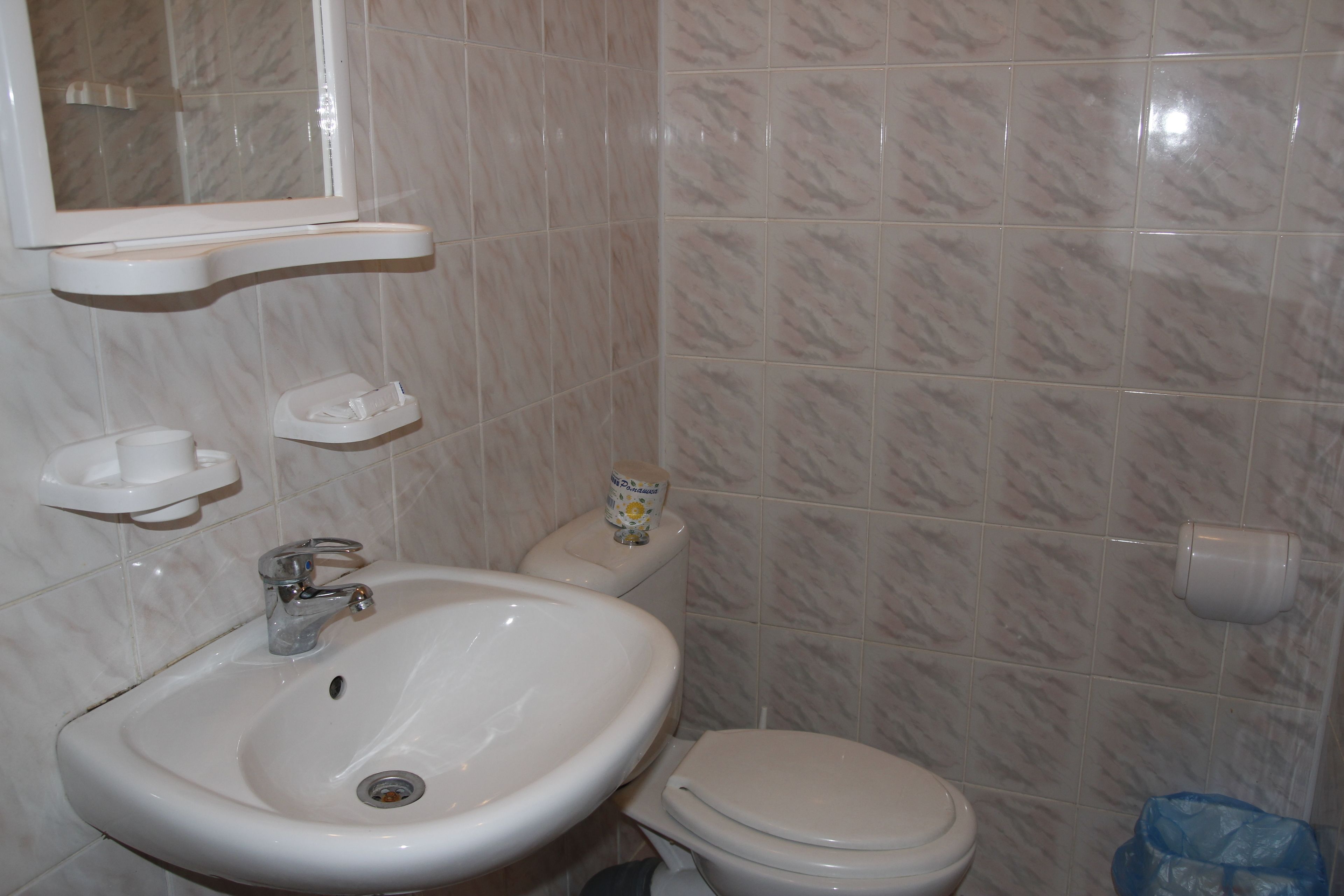 A bathroom with a sink, toilet, and a mirror.