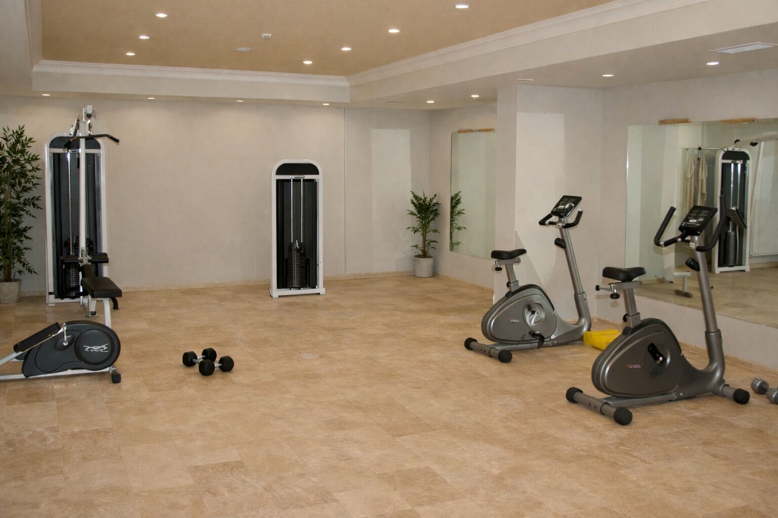 A spacious gym with cardio machines, free weights, and a mirror.