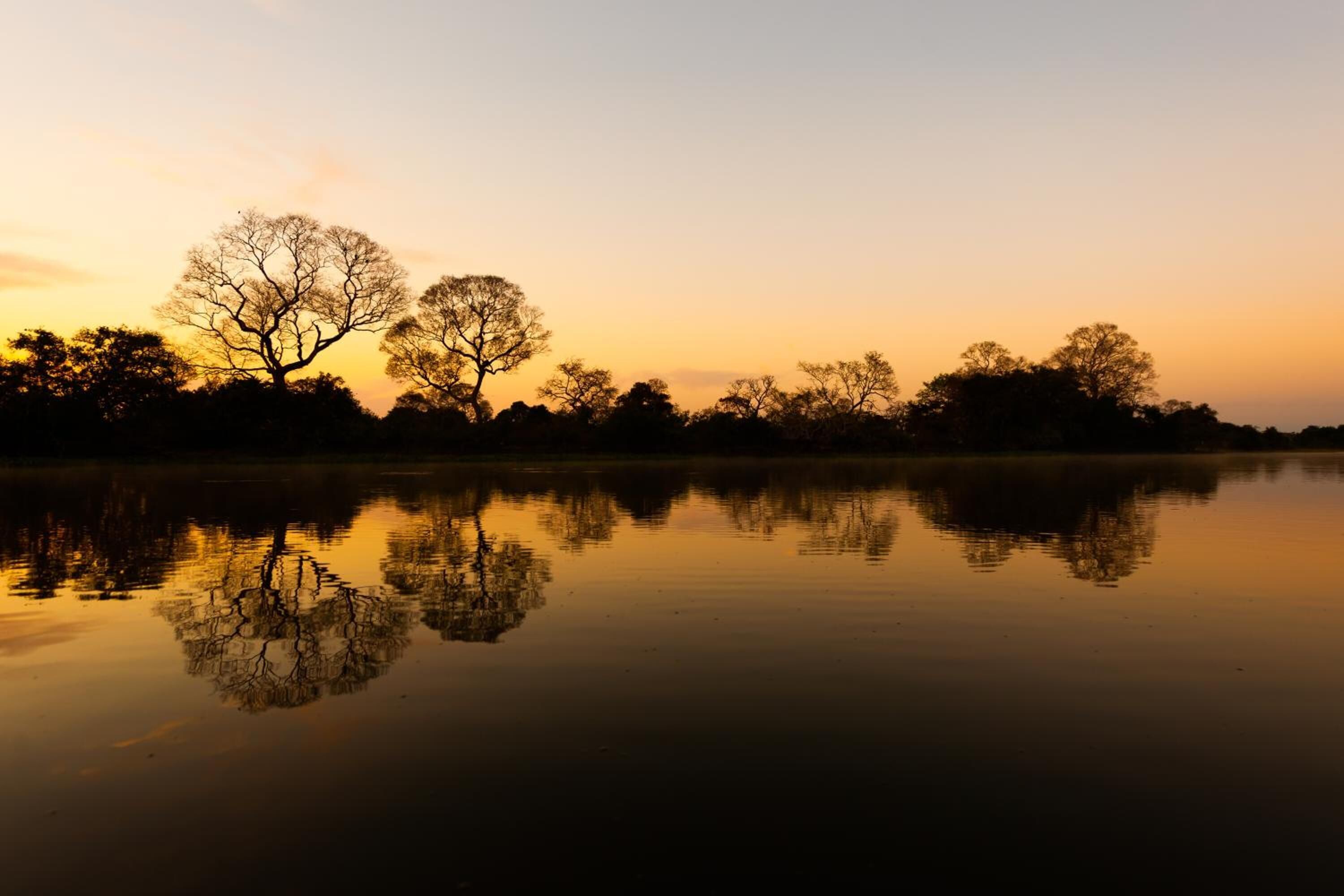 Un lago tranquillo con gli alberi riflessi nell'acqua.
