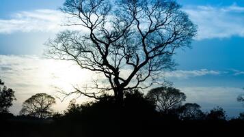 Alberca al aire libre y camastros