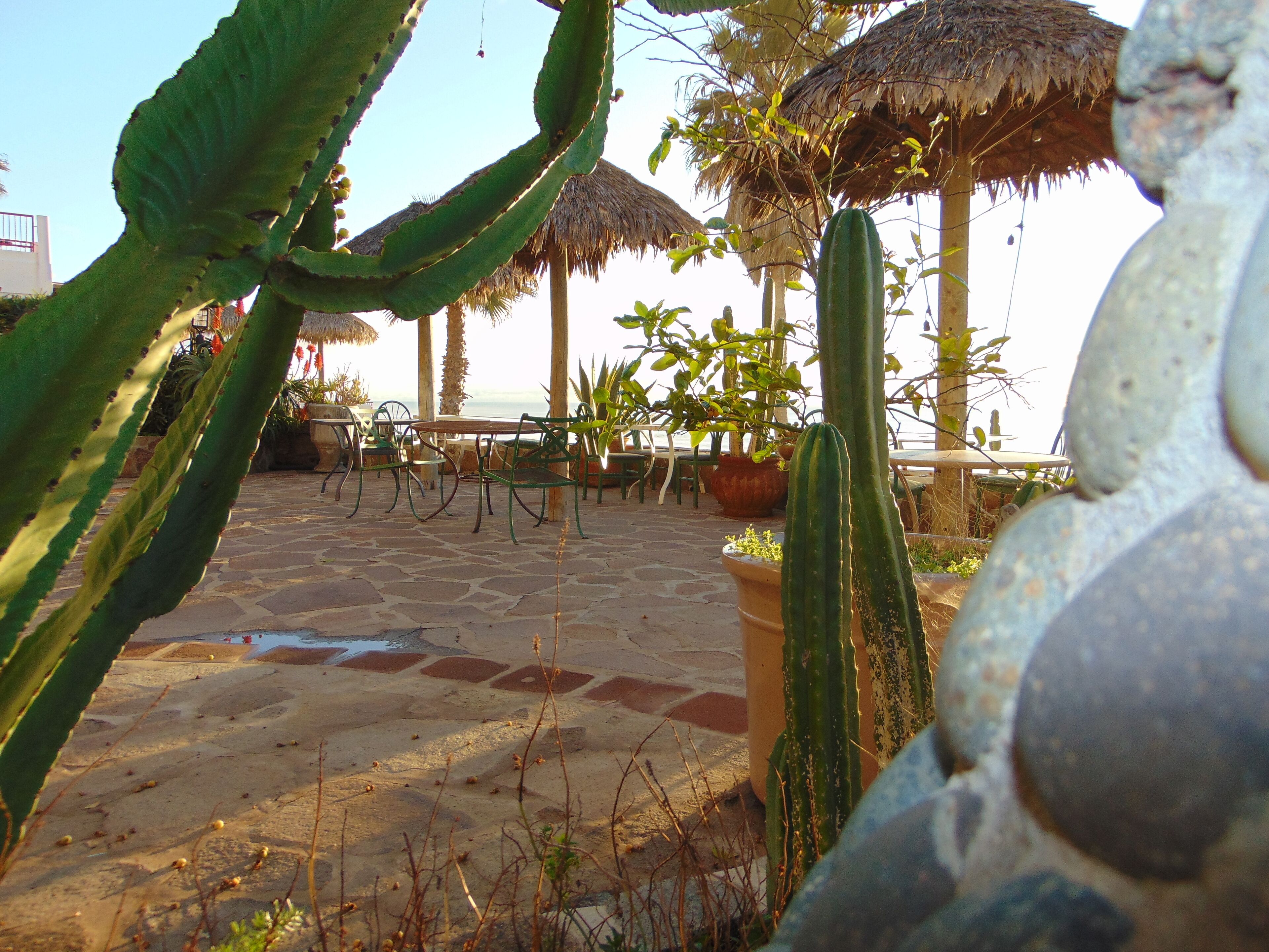 Land view from property