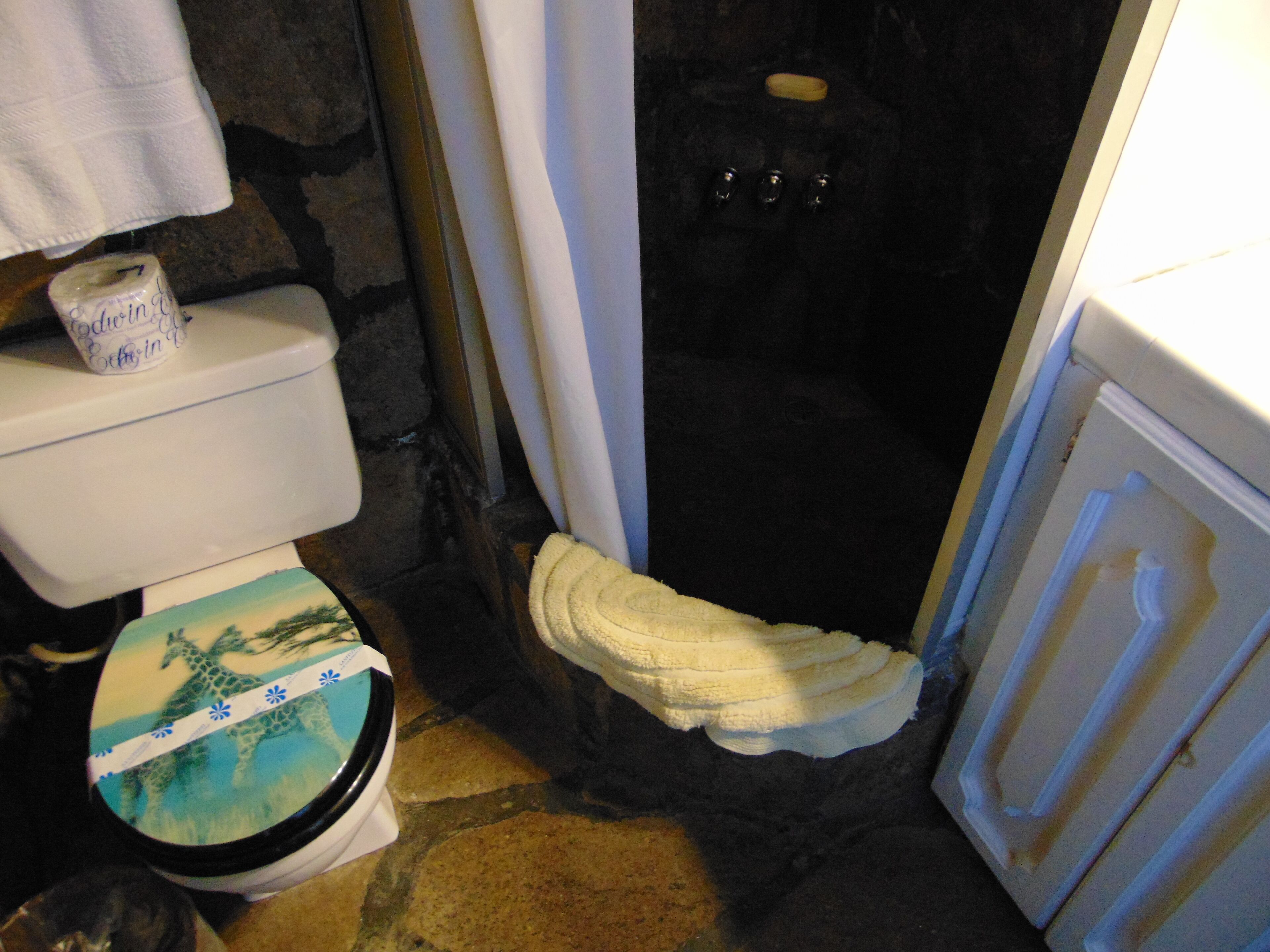 A bathroom with a toilet, a bathtub, and a shower area.