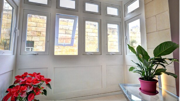 Una habitación con varias ventanas, una planta en maceta y una puerta.