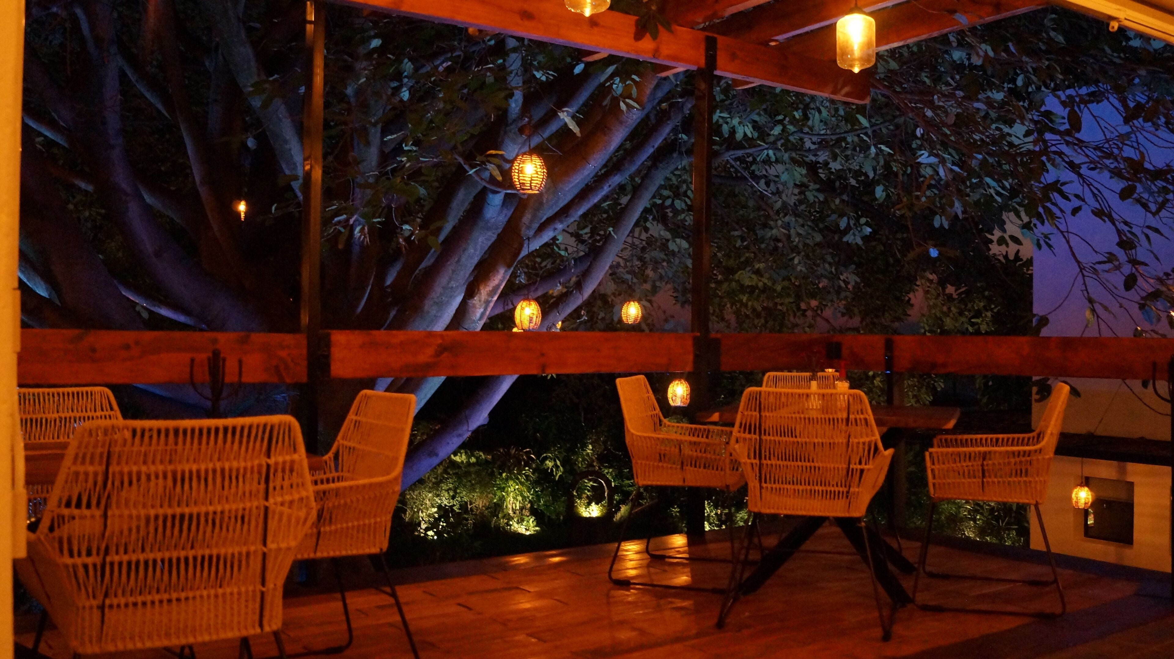 ランチ、ディナーに営業 (フランス料理)