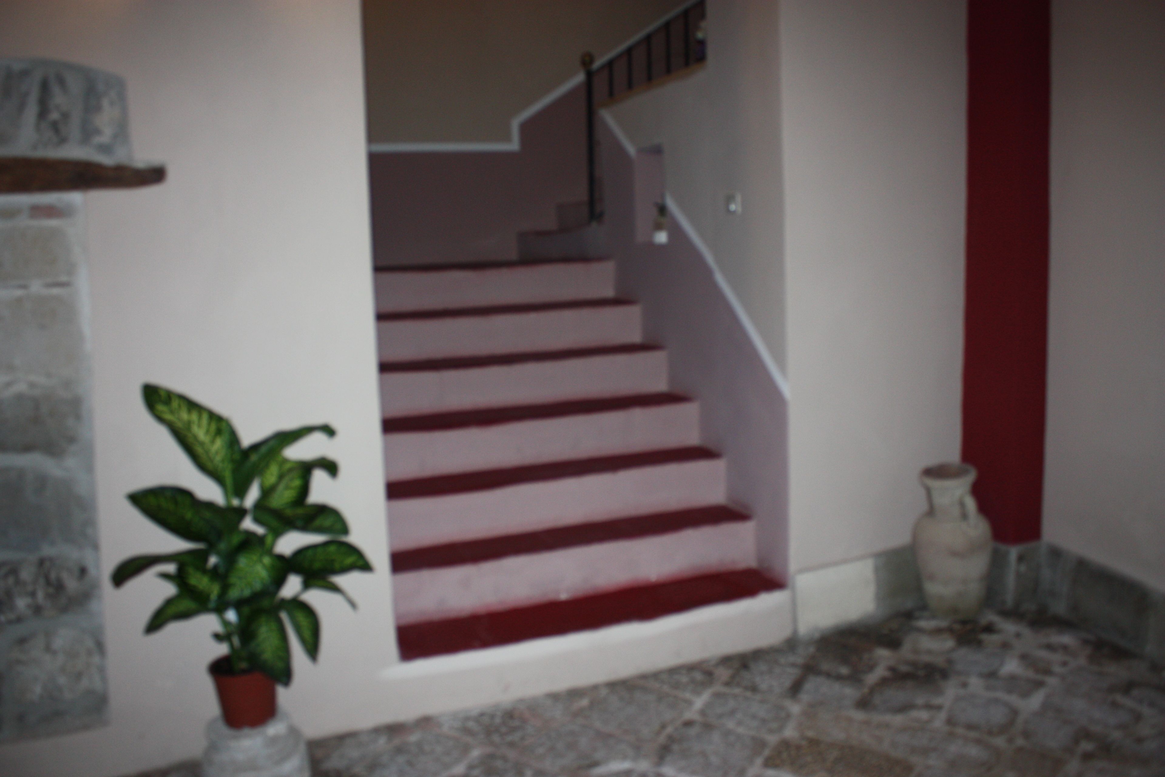 Eine Treppe mit roten Stufen führt zu einer Zwischenebene, dort steht ein Blumentopf und eine Vase auf dem Boden.