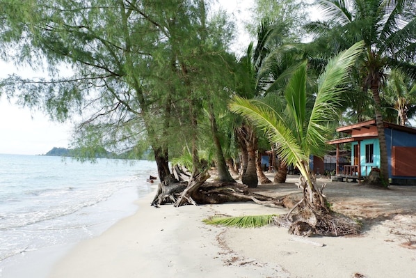 Pantai di sekitar