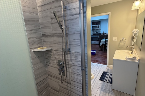 Luxury Apartment, 4 Bedrooms, Patio, City View | Bathroom amenities | Shower, rainfall showerhead, free toiletries, towels