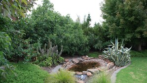 A garden with a pond, surrounded by various plants and a wooden fence. - Lochnagar Barossa - Adults Only (Tanunda)