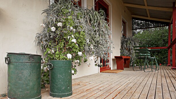 Una terraza de madera con botes de basura verdes y plantas en macetas.