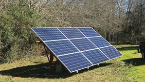 Eine Solaranlage in einer grünen Wiese mit Bäumen im Hintergrund.