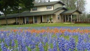 Ein zweistöckiges Haus mit überdachter Veranda und einem Feld mit blauen und orangefarbenen Blumen davor.