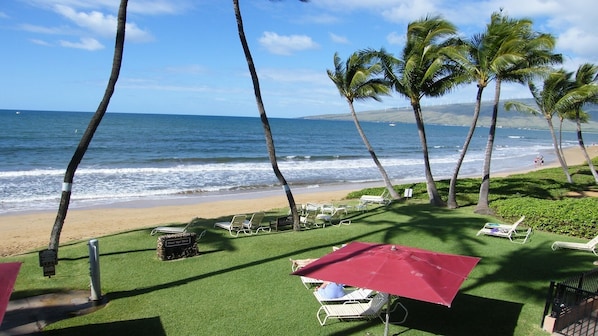 On the beach, sun-loungers, beach towels - Beach front in Hotel District! (Kihei)