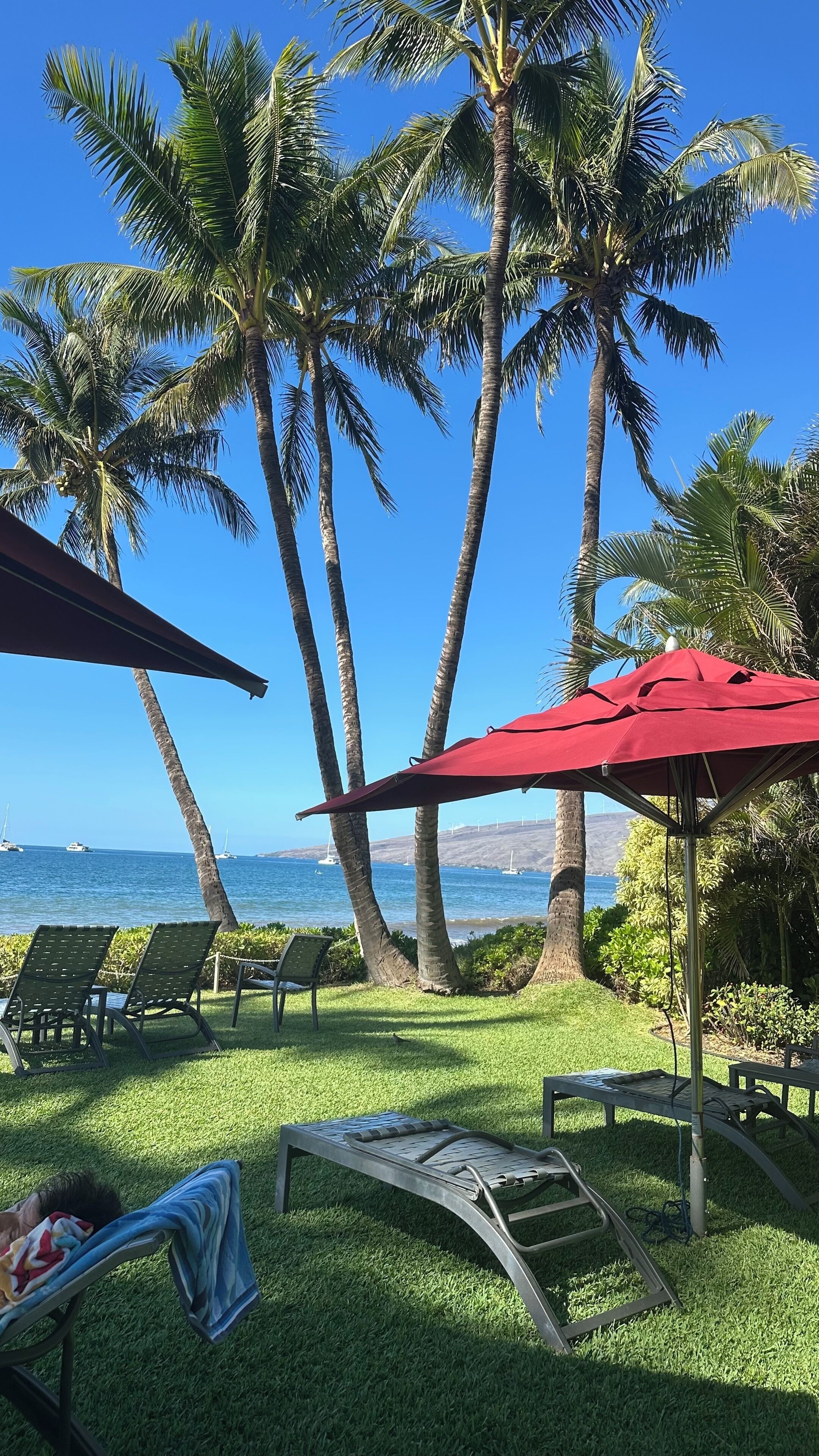 Parco della struttura