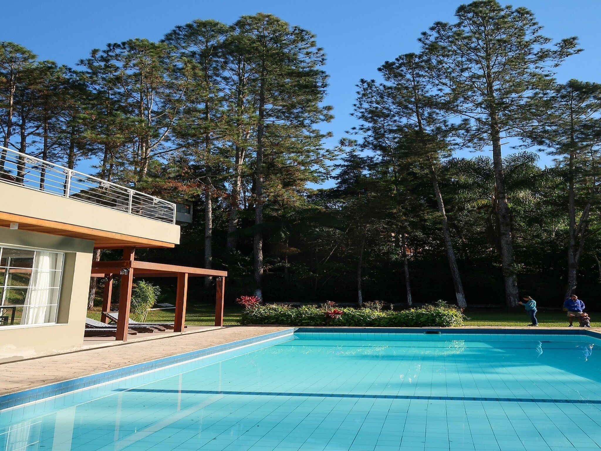 Una piscina con bordo in legno e area coperta, circondata da alberi alti.