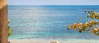Beachfront Luxury 1 BDR Apt. Sleeps Up To 4 @ Balcones Del Atlantico
