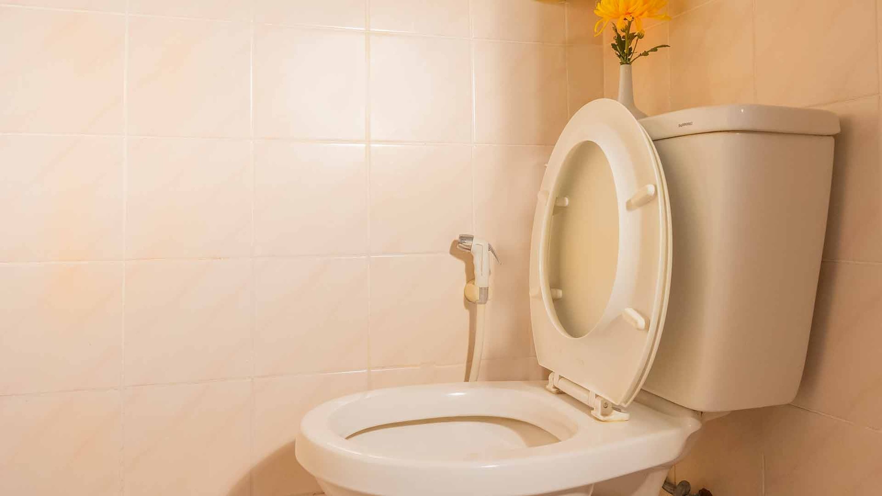 Foto - Sabina Guesthouse Kamala