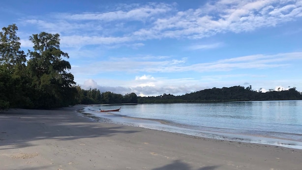 Ein Strand mit einem Boot auf dem Wasser, Bäumen und blauem Himmel.