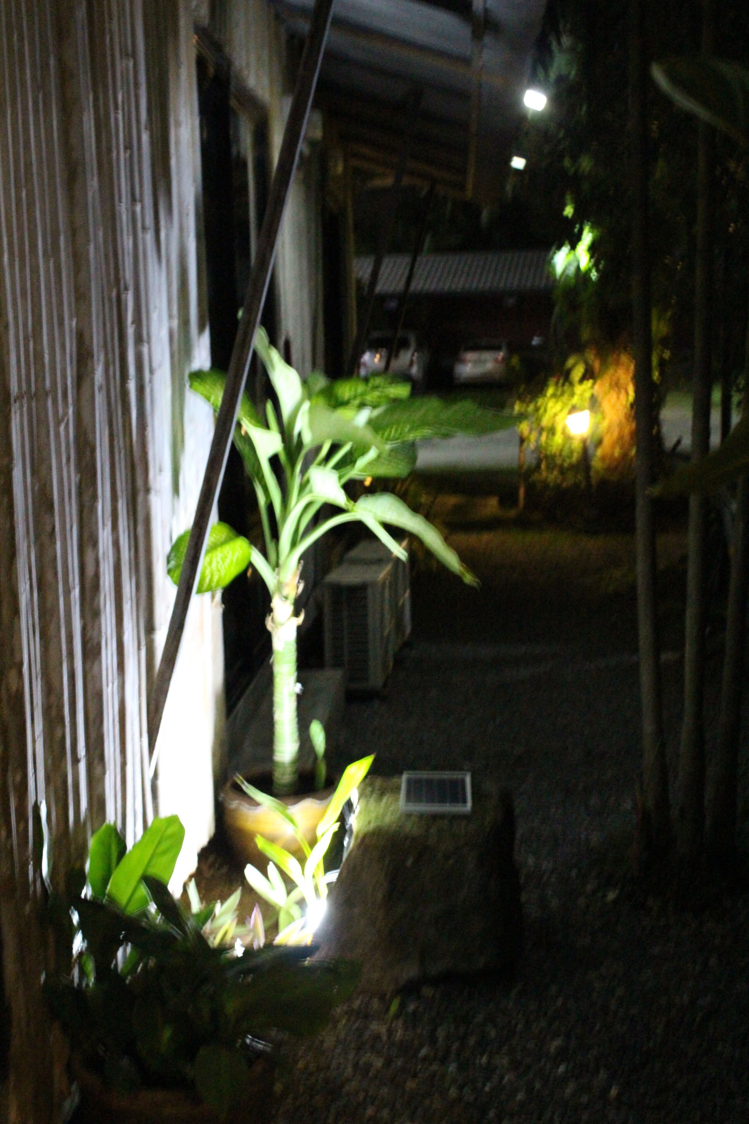 Foto - B Happy Resort - SHA ExtraPlus