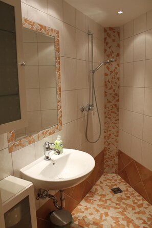 Shower, hair dryer, towels, toilet paper