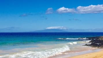 Accommodatie ligt op het strand, ligstoelen, strandlakens
