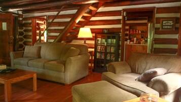 Smart TV, fireplace, DVD player, video library