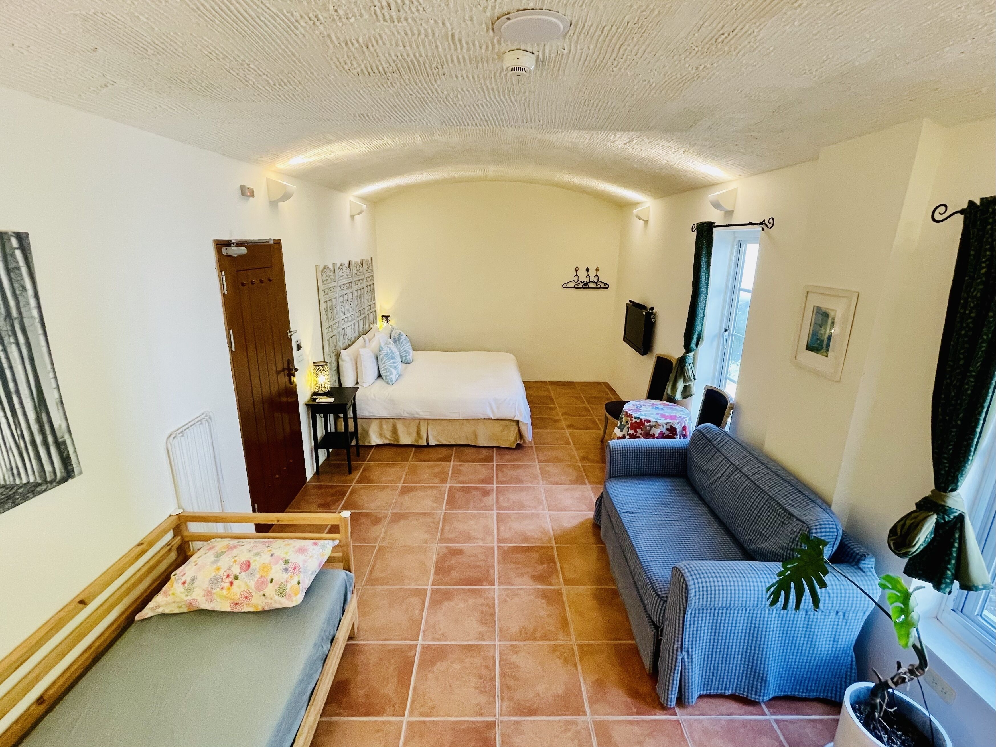 A room with a bed, a sofa, a small table, and a potted plant.