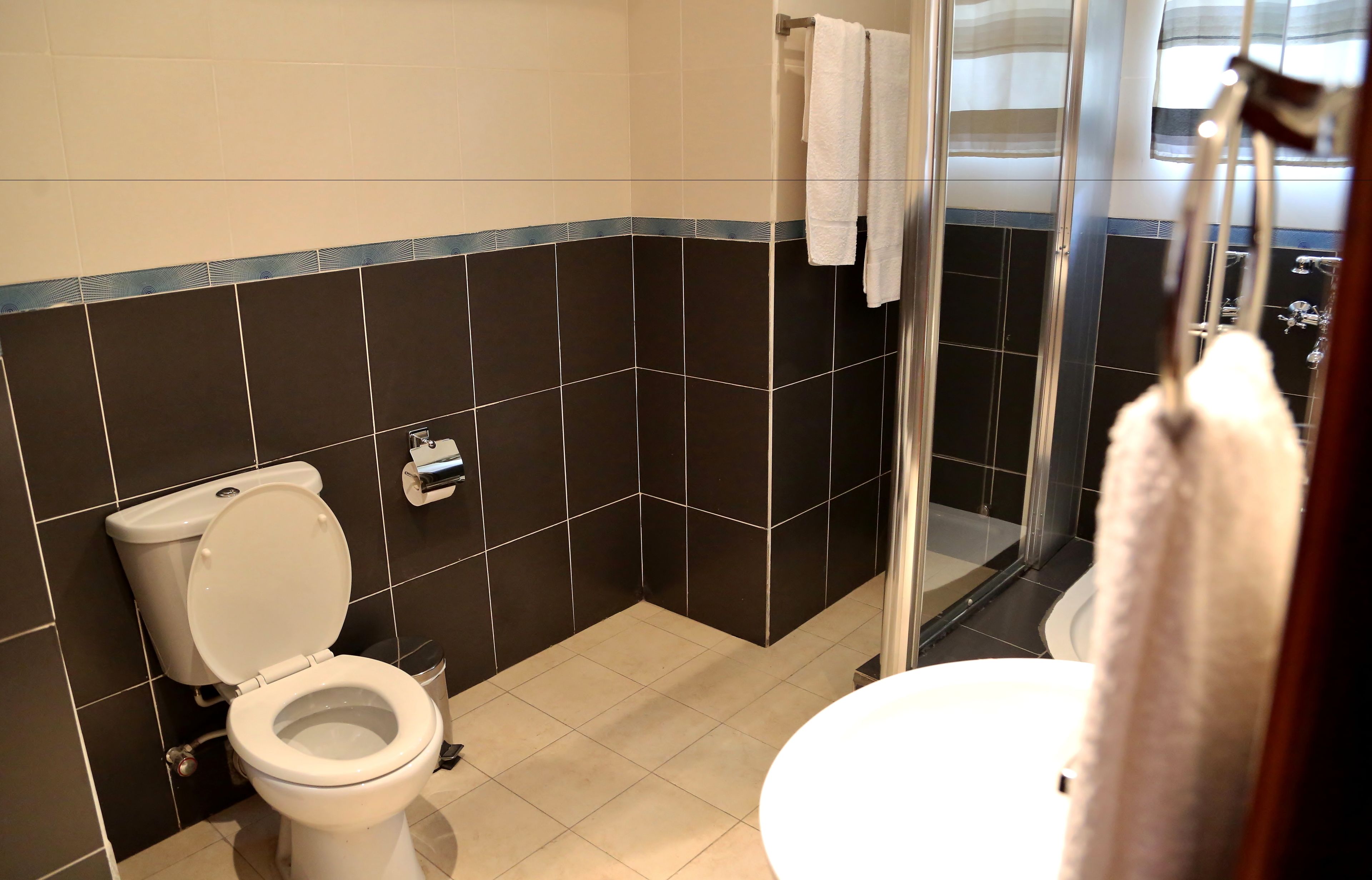 A bathroom with a toilet, a sink, and a shower area.