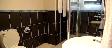 A bathroom with a toilet, a sink, and a shower area.