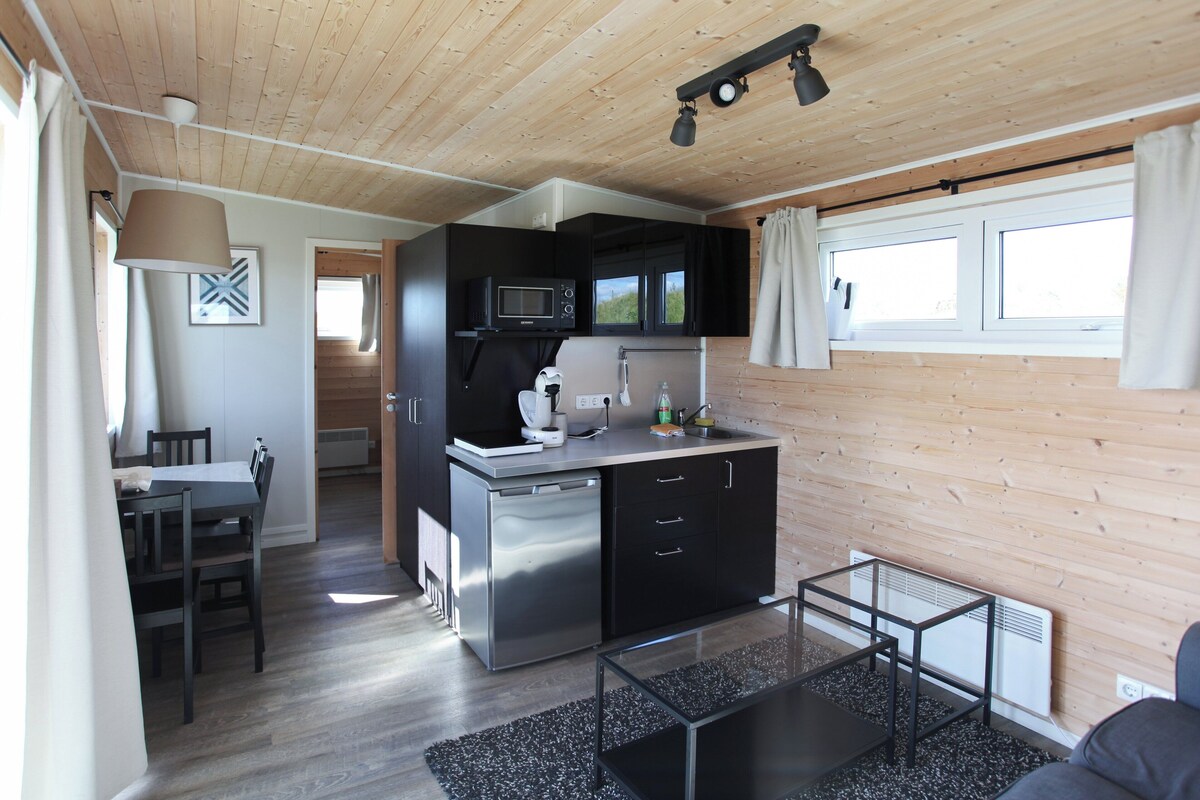 A compact kitchen with modern appliances, a dining area with a table and chairs, and a cozy seating area with a sofa.