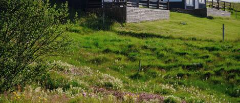 Two dark-colored houses with a grassy hill in the foreground, surrounded by wildflowers.
