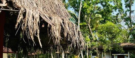 Outdoor pool, free pool cabanas, pool umbrellas