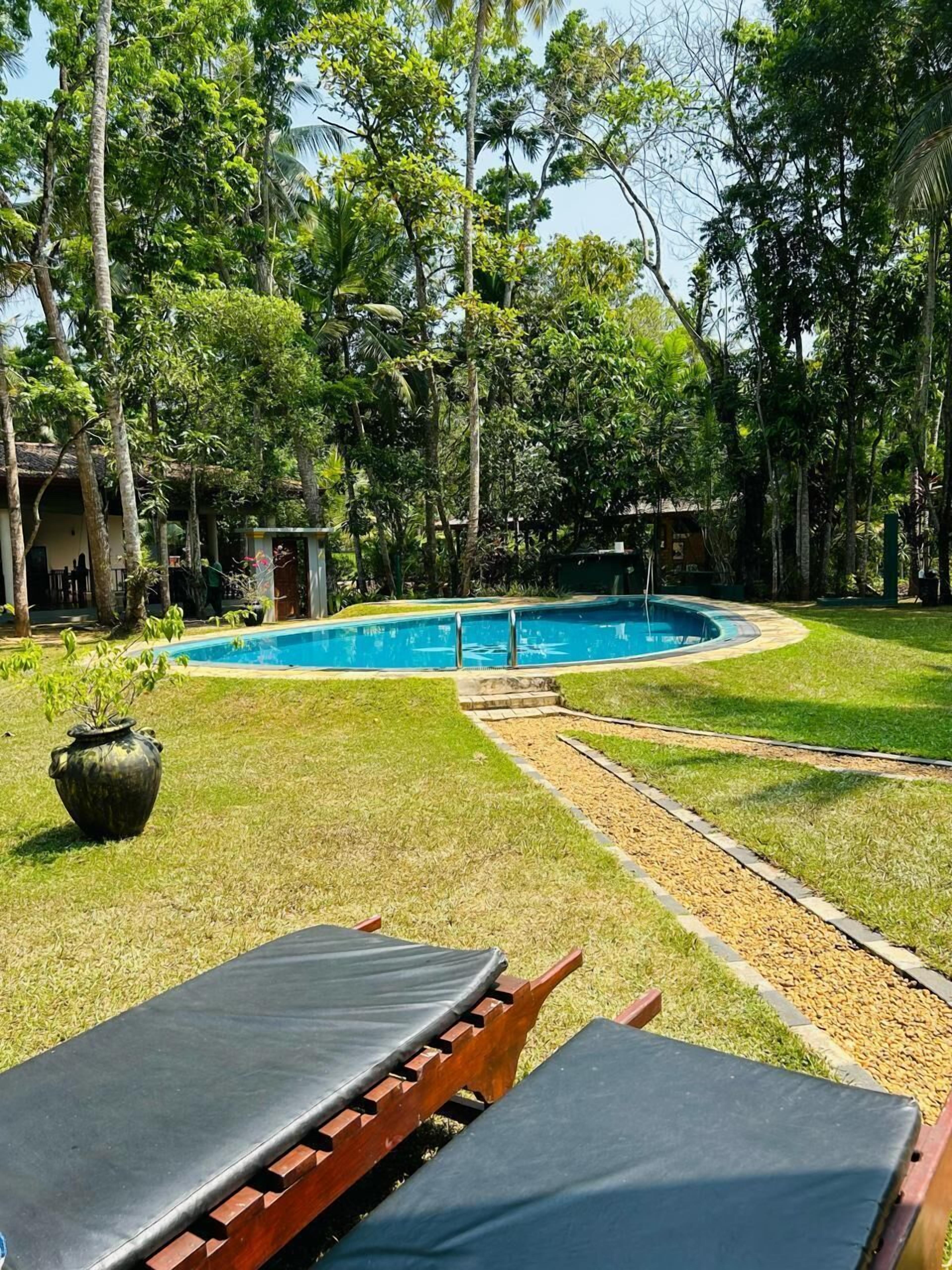 华丽双人房, 无障碍, 使用泳池 | 露台