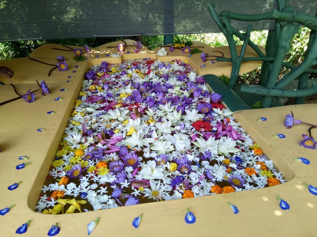 A rectangular water feature with a variety of flowers and a green structure in the background.