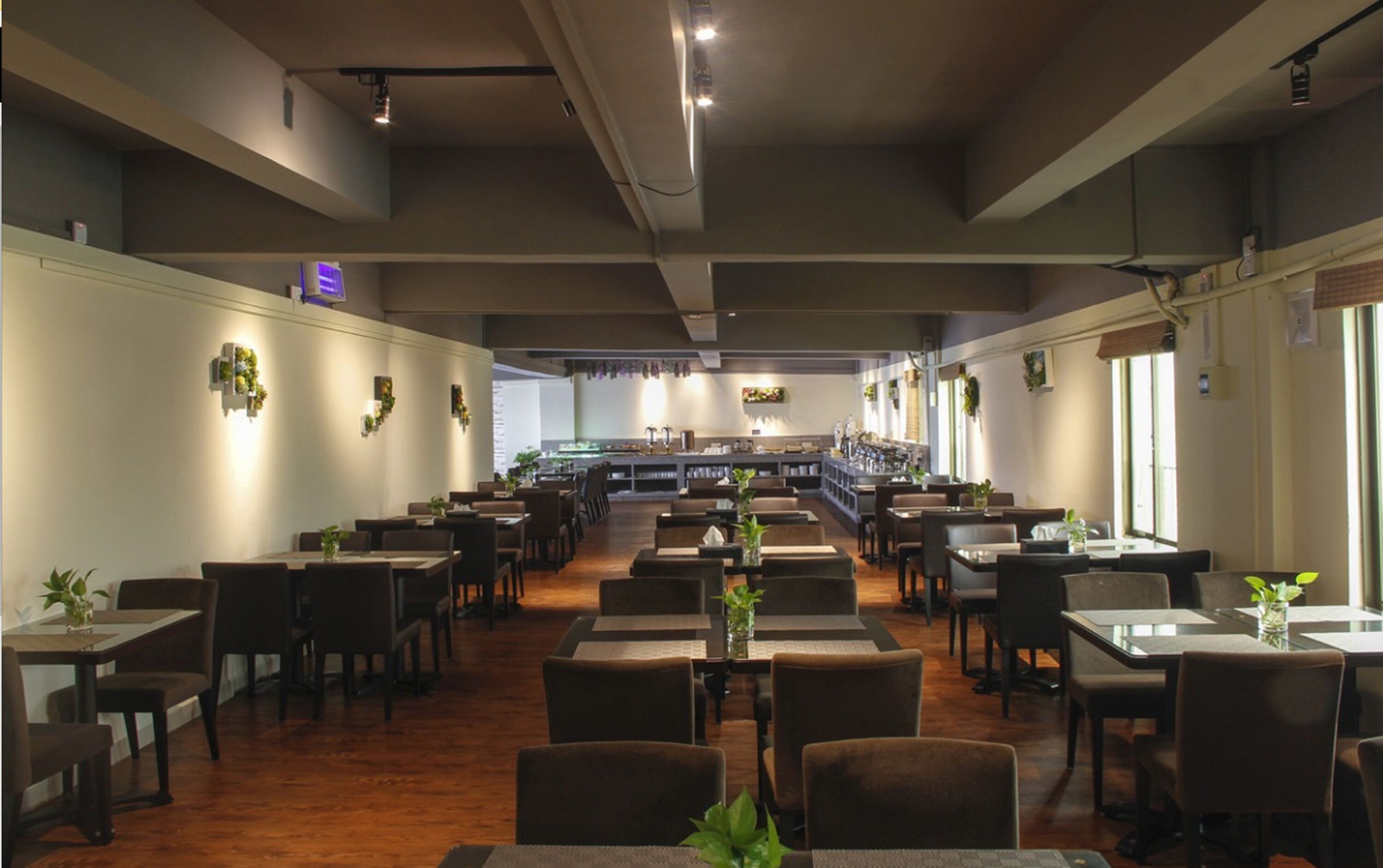 朝食、ランチ、ディナーに営業