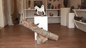 Una habitación con piso de madera, muebles blancos y diversos objetos decorativos en estantes.