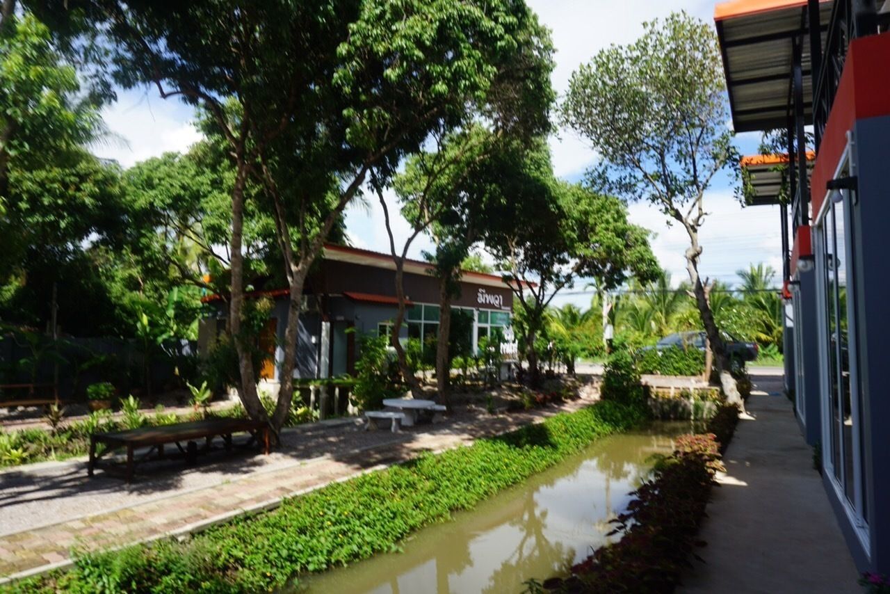 A serene outdoor area with a pathway, benches, and a small water feature.