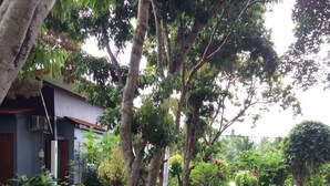 Imej tidak diklasifikasikan, 4 daripada 76, butang