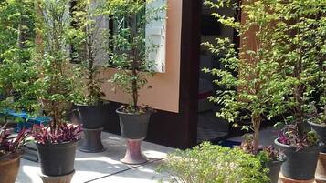 Small Double Room | Terrace/patio