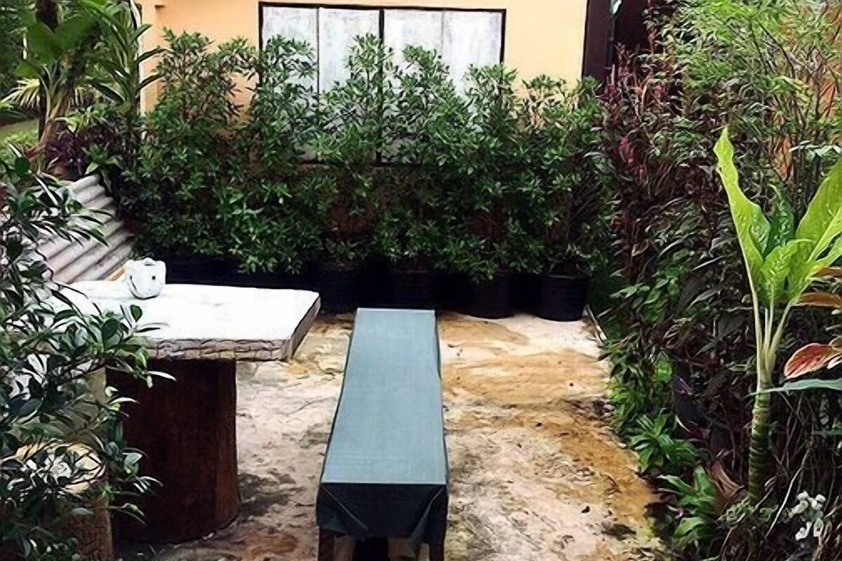 A covered outdoor seating area with a bench, surrounded by dense foliage and a building with a tiled roof.