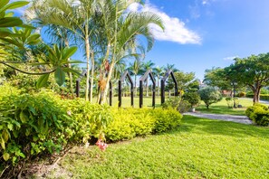 Garden View Family Room | View from room