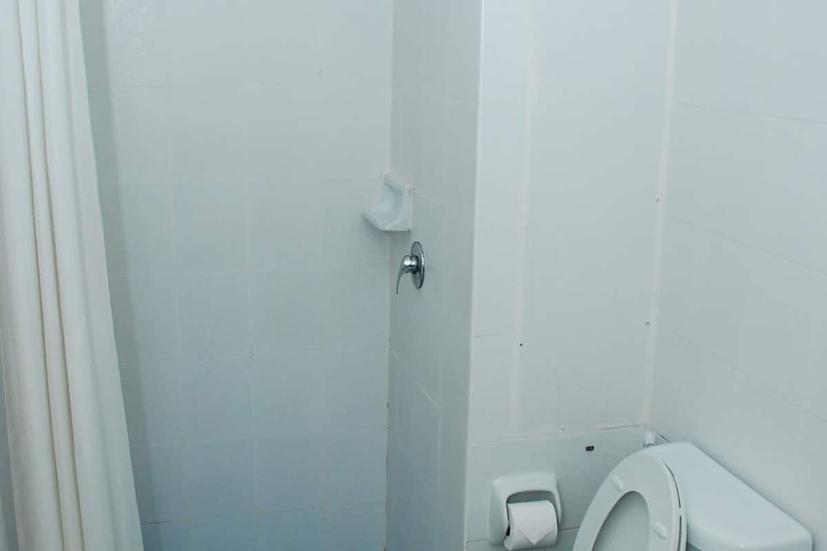 shower, free toiletries, towels