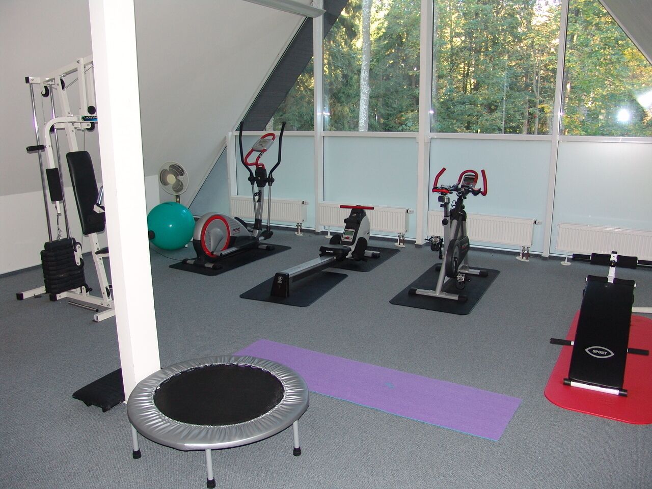 A gym with various exercise equipment, a trampoline, and large windows with a view of trees.