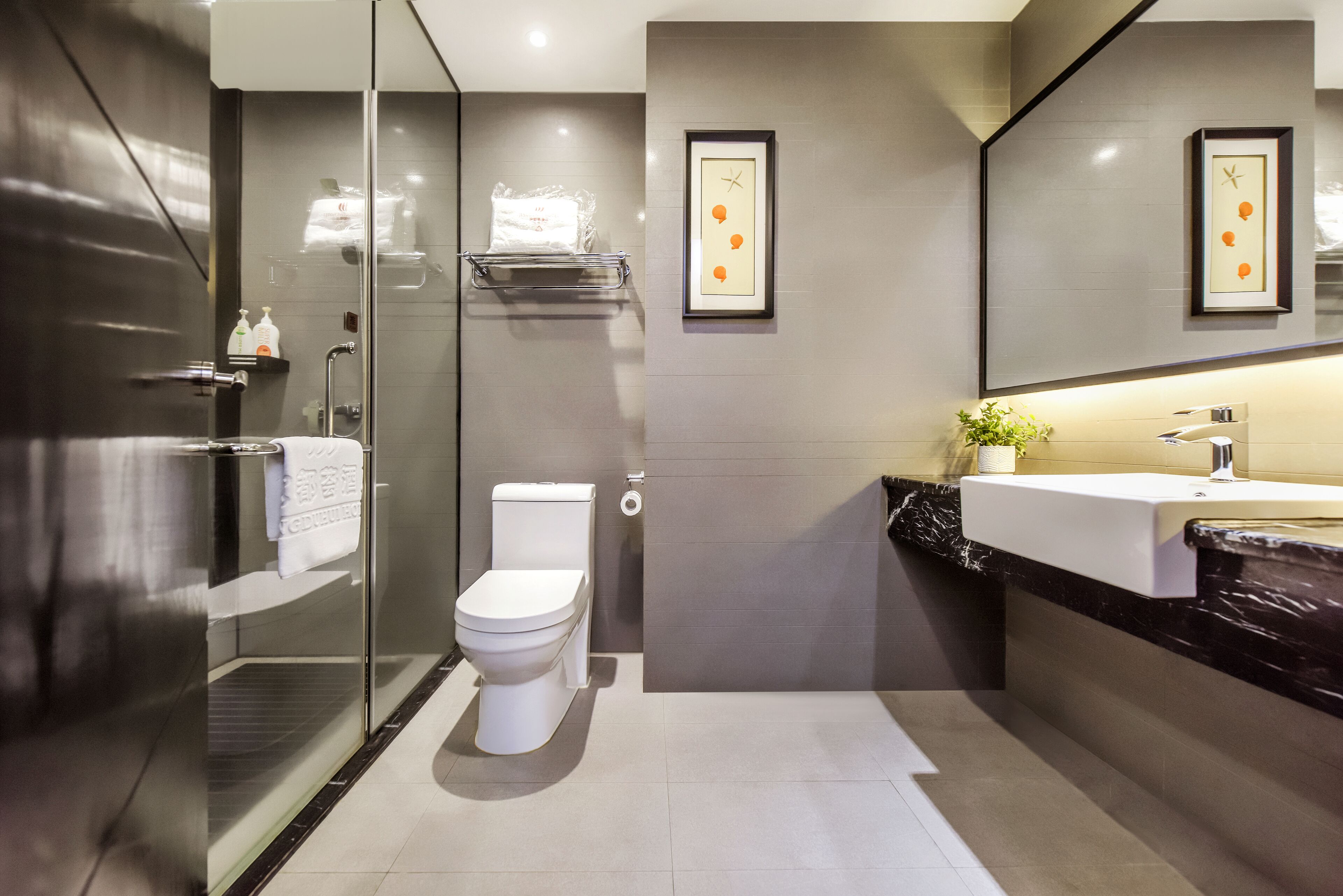 A modern bathroom with a glass shower enclosure, a toilet, a sink with a marble countertop, and framed artwork on the wall.